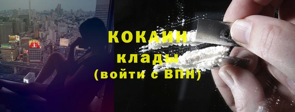 дживик Абинск