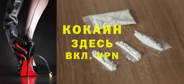 твердый Алексеевка
