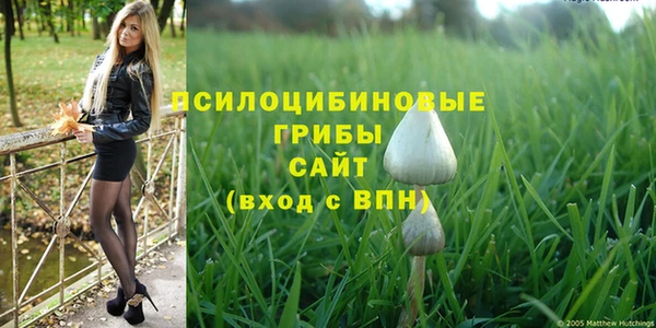 твердый Алексеевка
