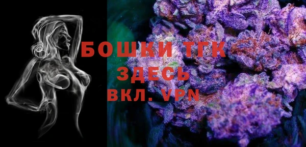 дживик Абинск