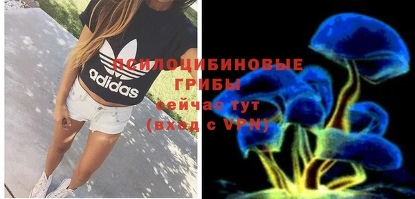 твердый Алексеевка