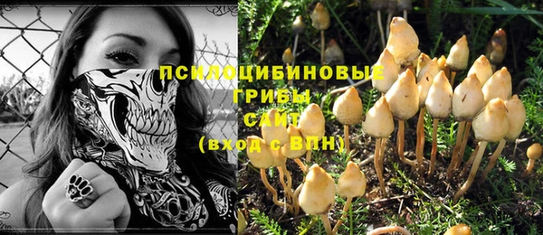 твердый Алексеевка