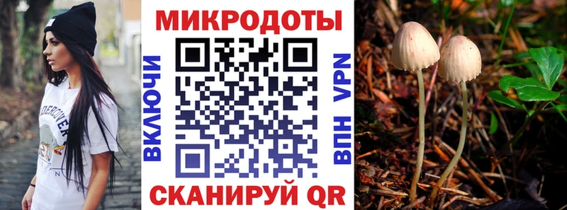 Псилоцибиновые грибы MAGIC MUSHROOMS  Железногорск-Илимский 